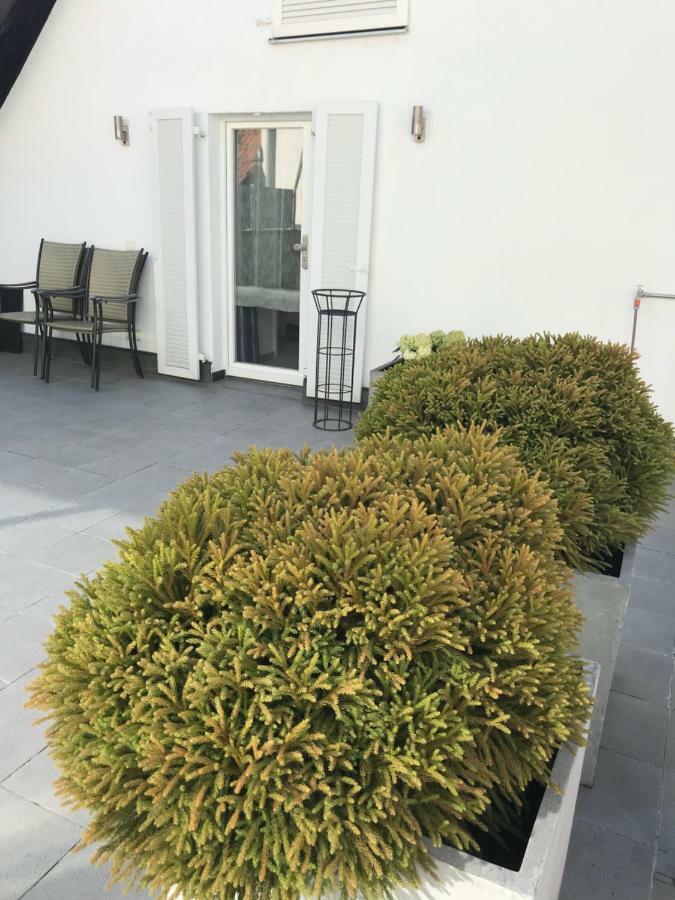 Apartament Casa Christina Orschweier Zewnętrze zdjęcie